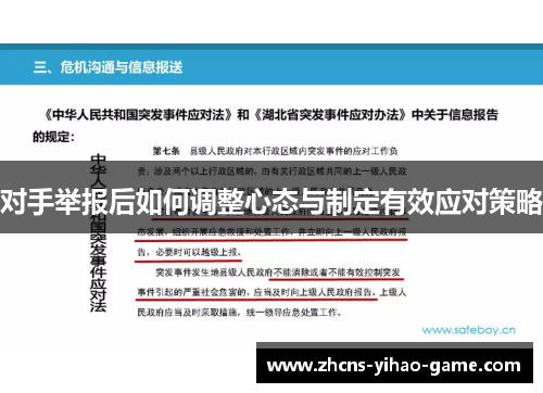 对手举报后如何调整心态与制定有效应对策略