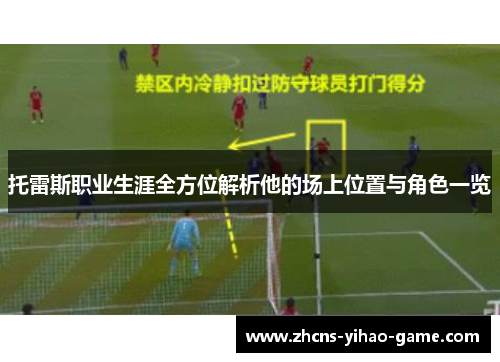 托雷斯职业生涯全方位解析他的场上位置与角色一览
